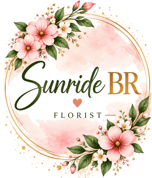 Sunride BR LLC
